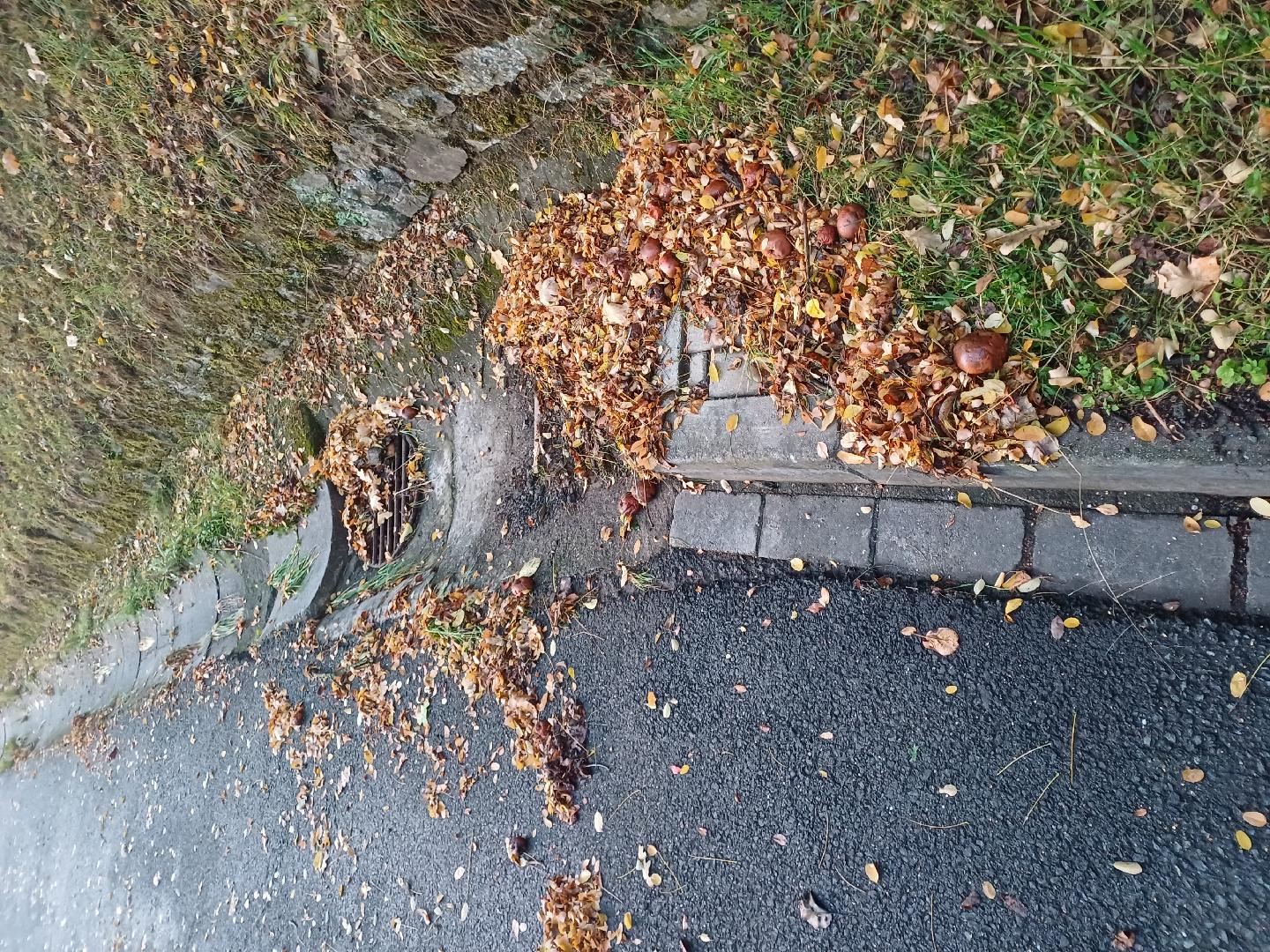 Po dešti vše