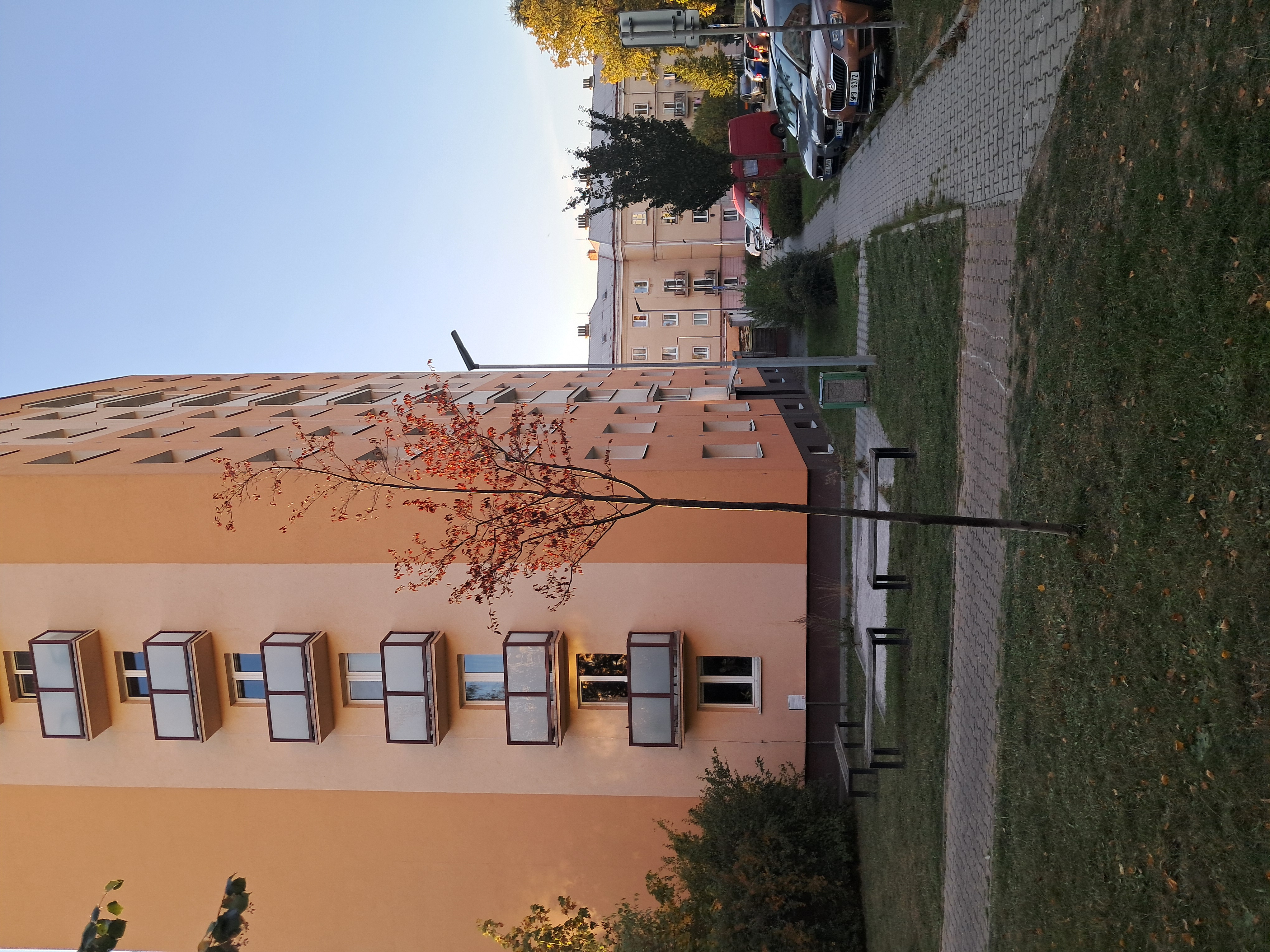 Uschnul strom