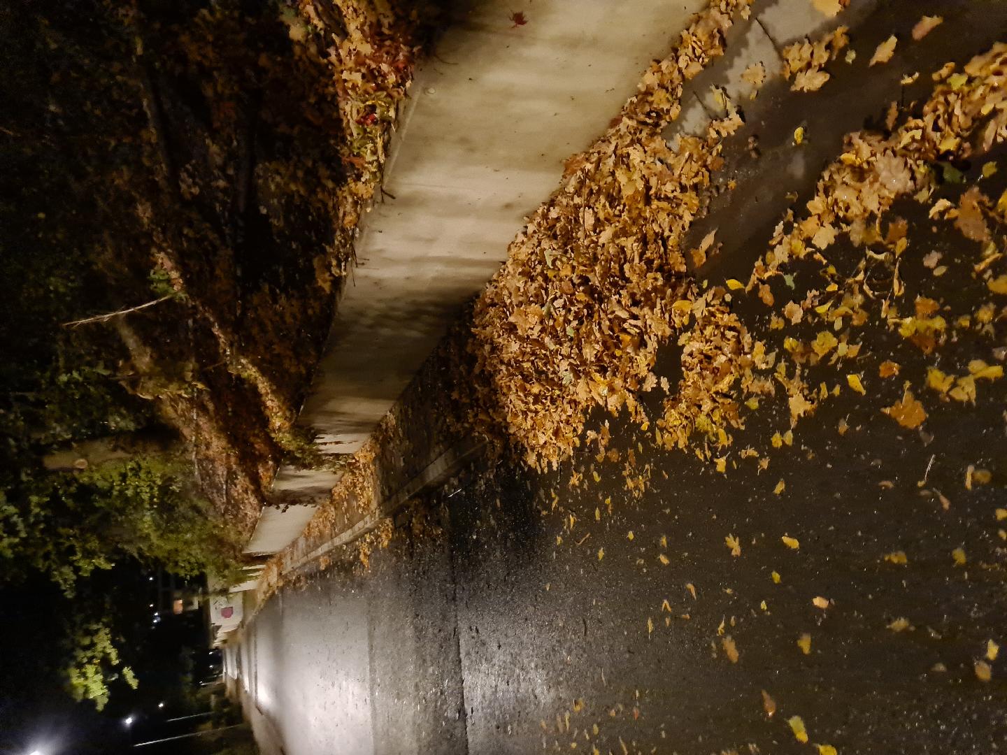 Fotografie nahlášení