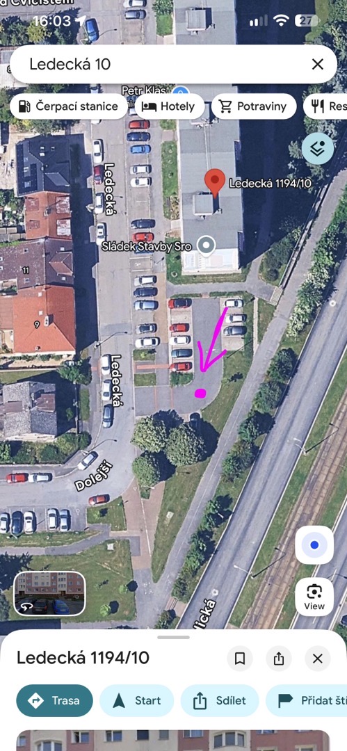 Mrtvý zajíc