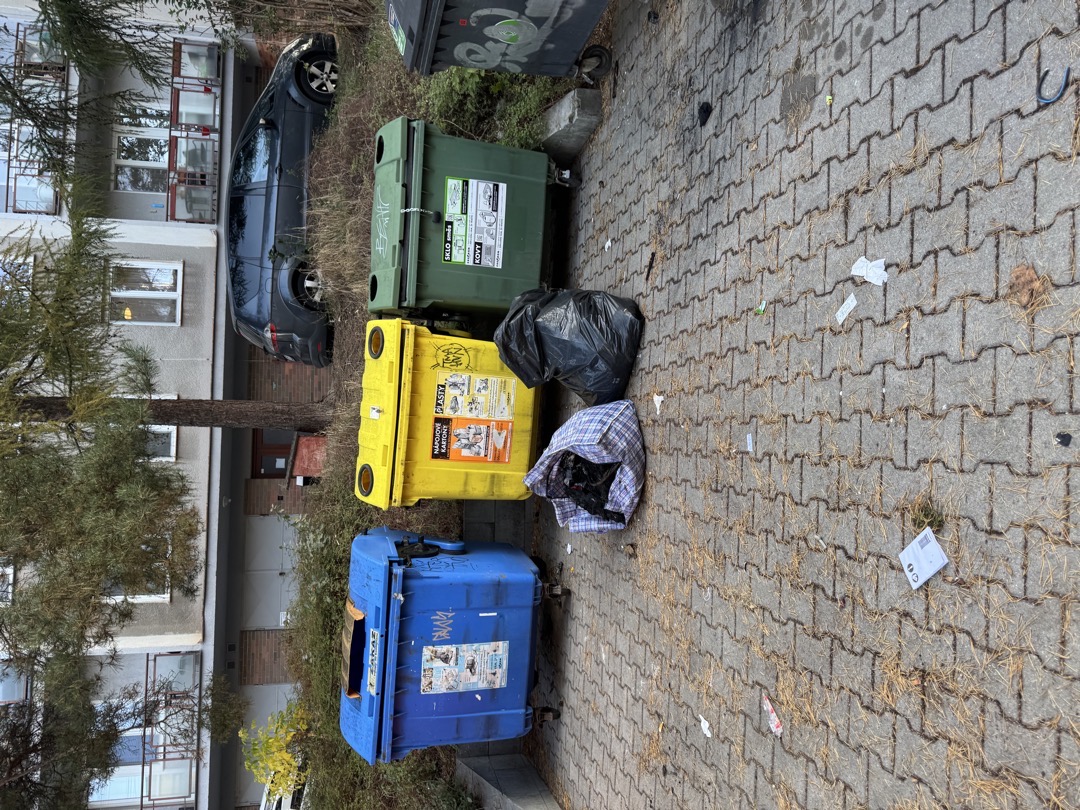 Nepořádek