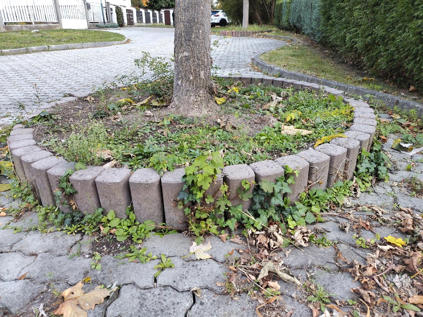 Fotografie nahlášení