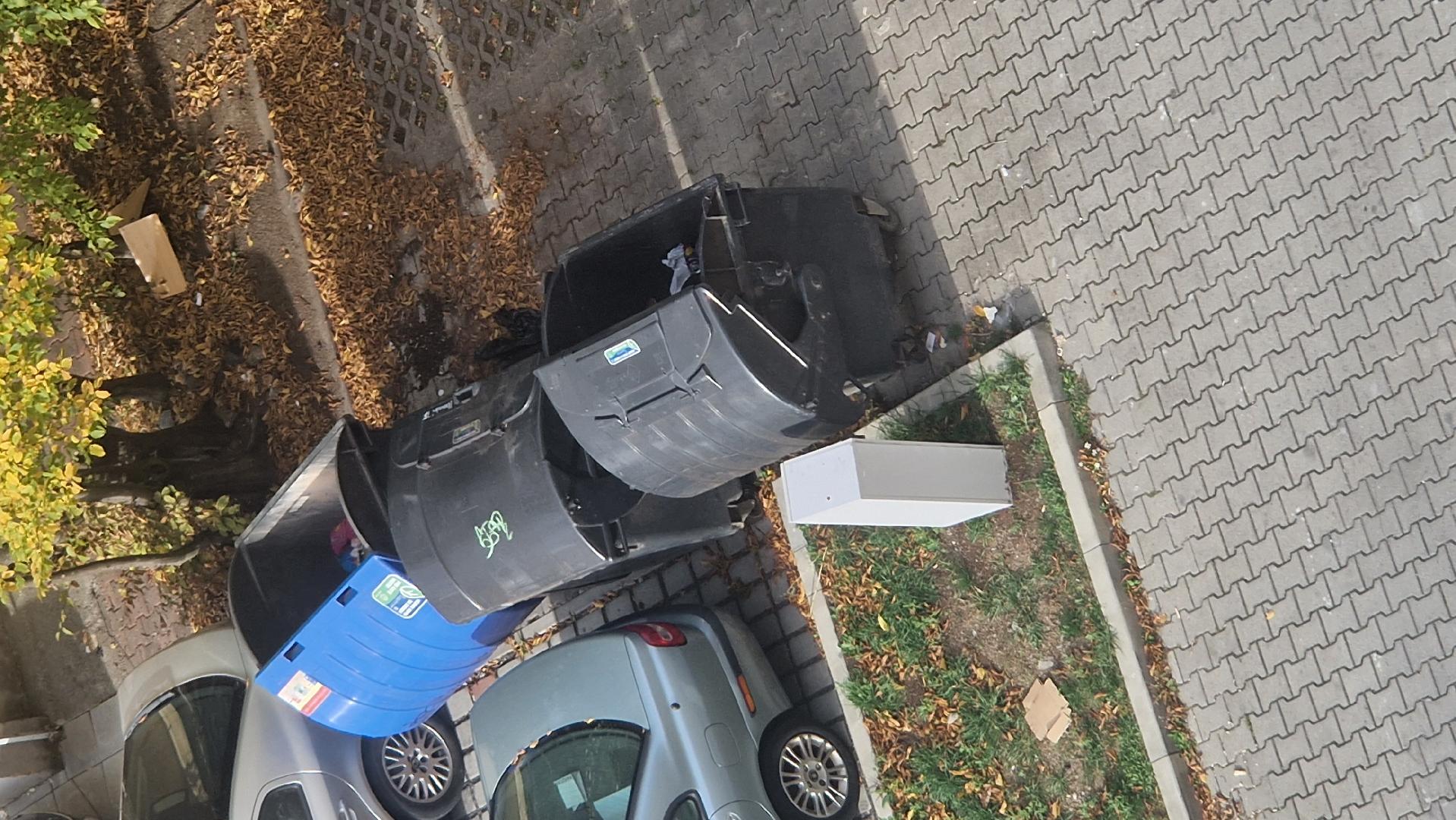Nepořádek u popelnic