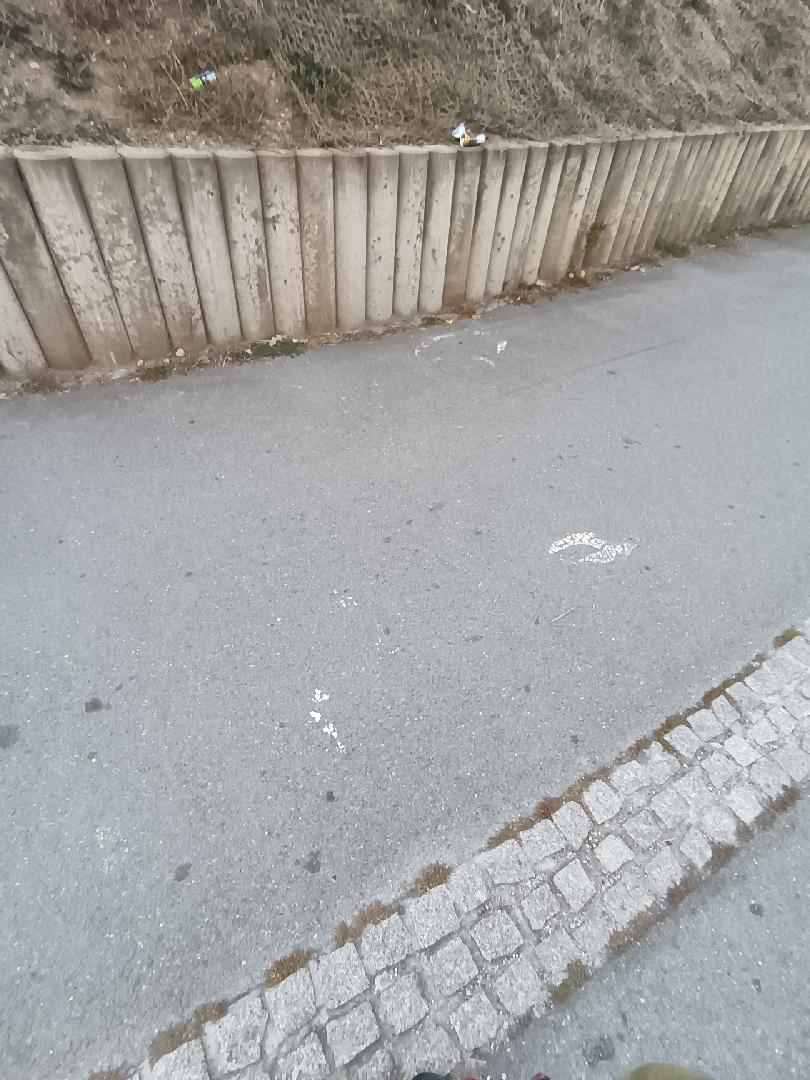 Špatně označený cyklopruh