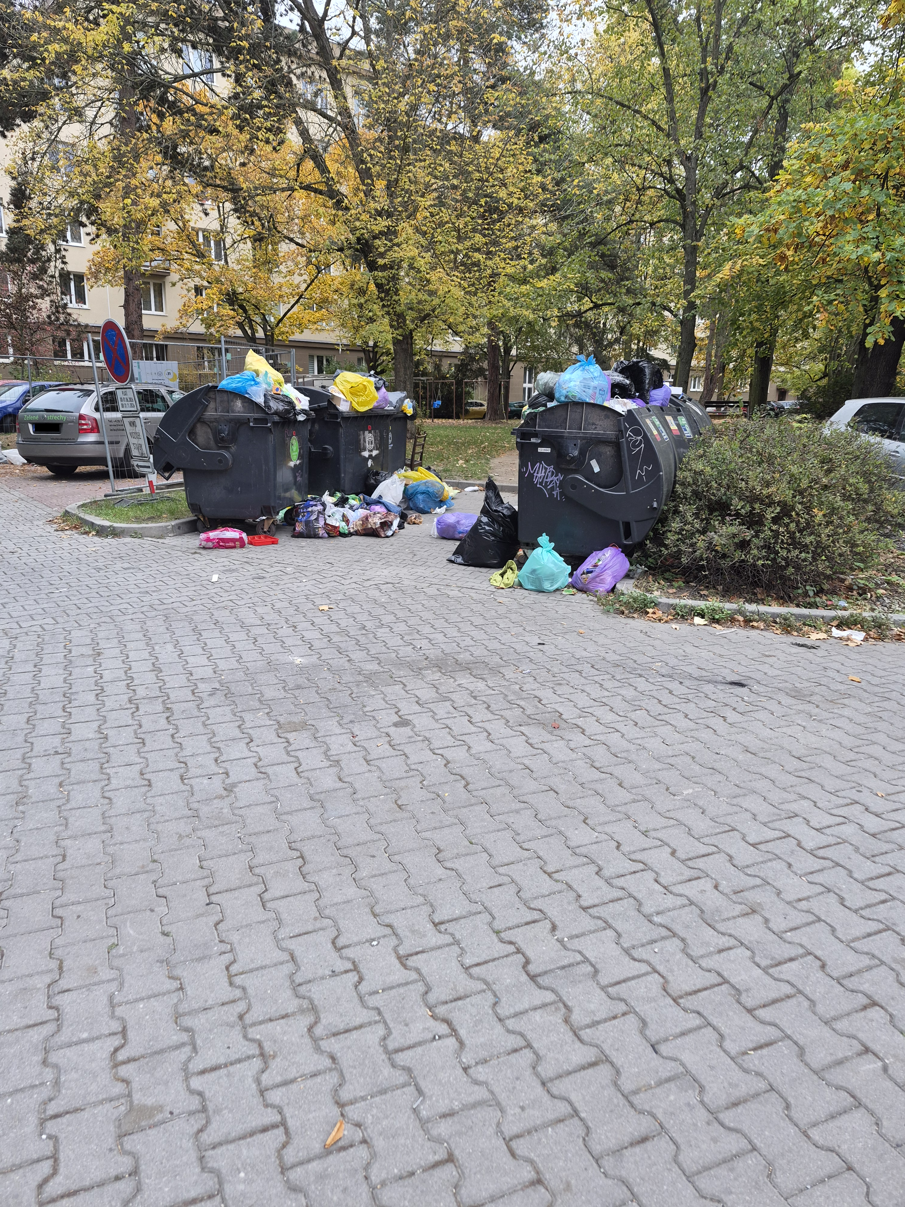 Nepořádek