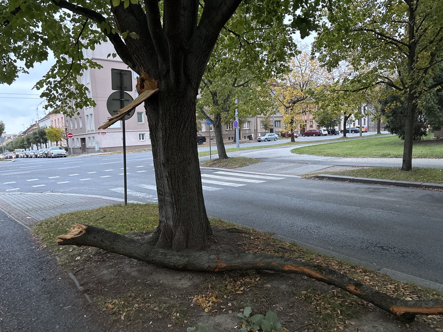 Fotografie nahlášení