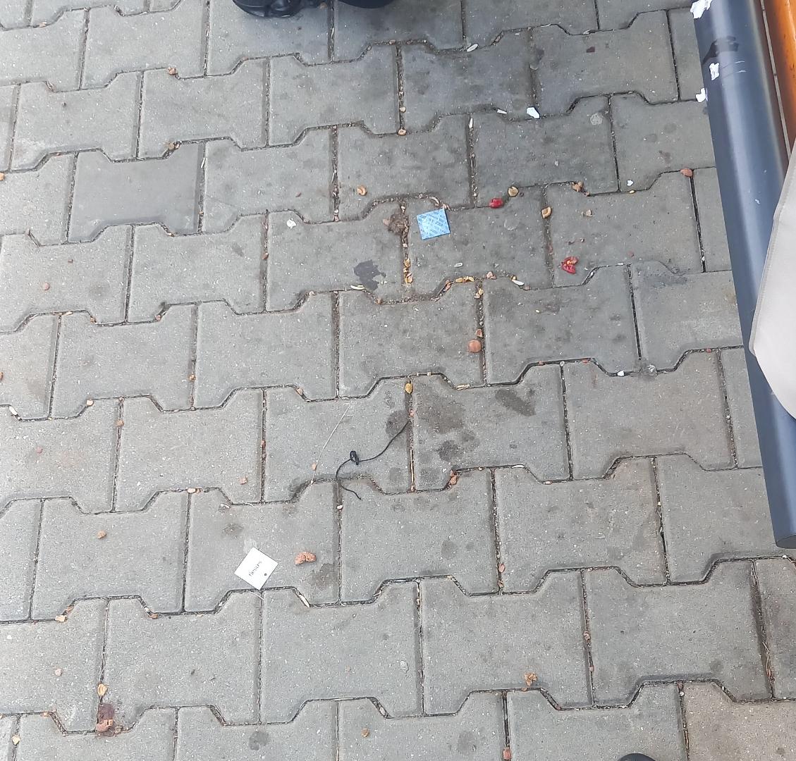Nepořádek