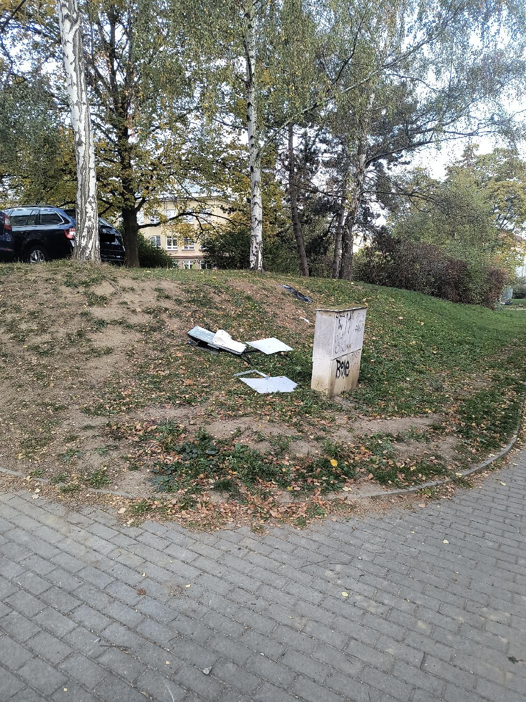 Nepořádek
