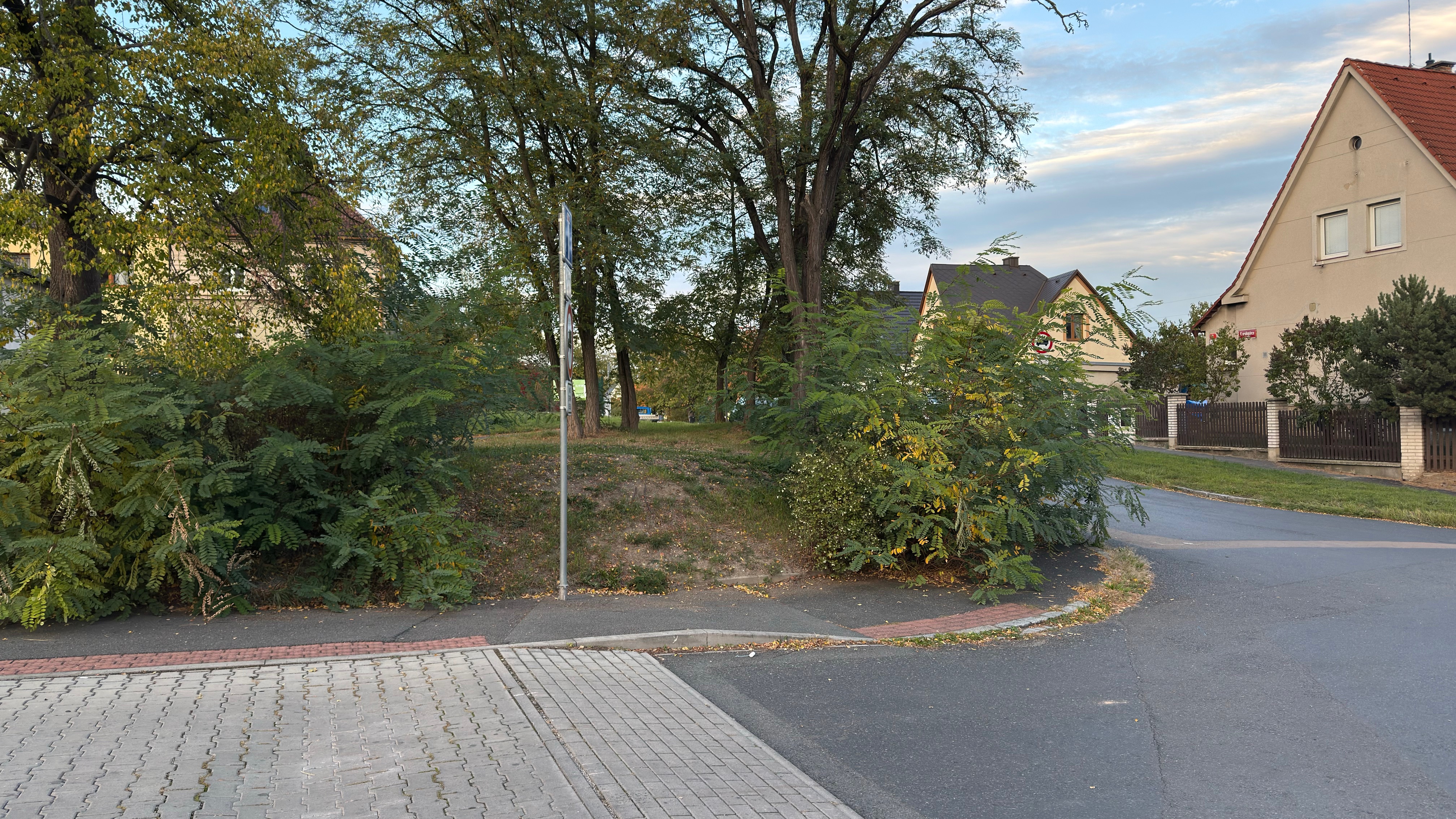 Křoví