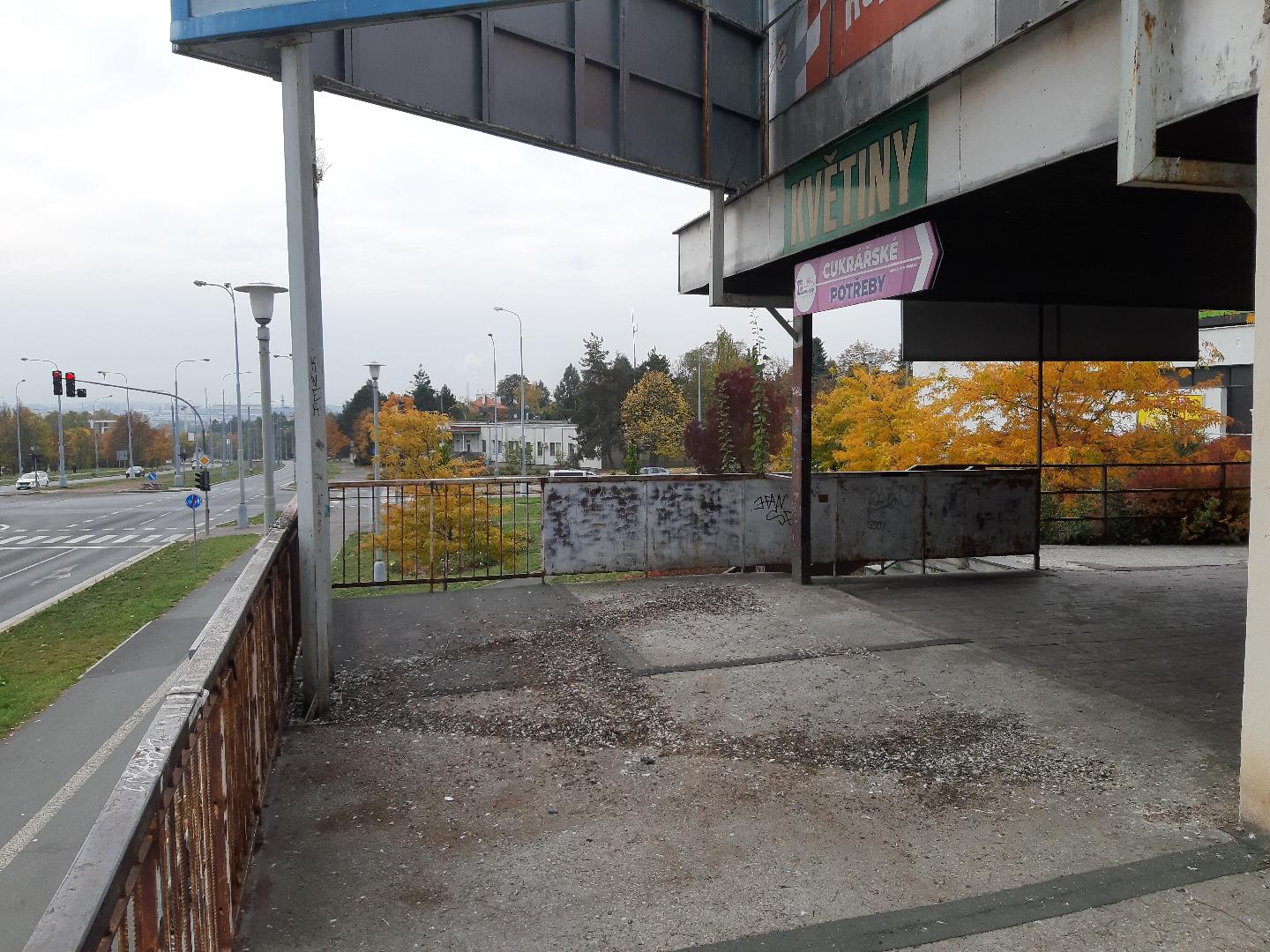 Nepořádek po holubech