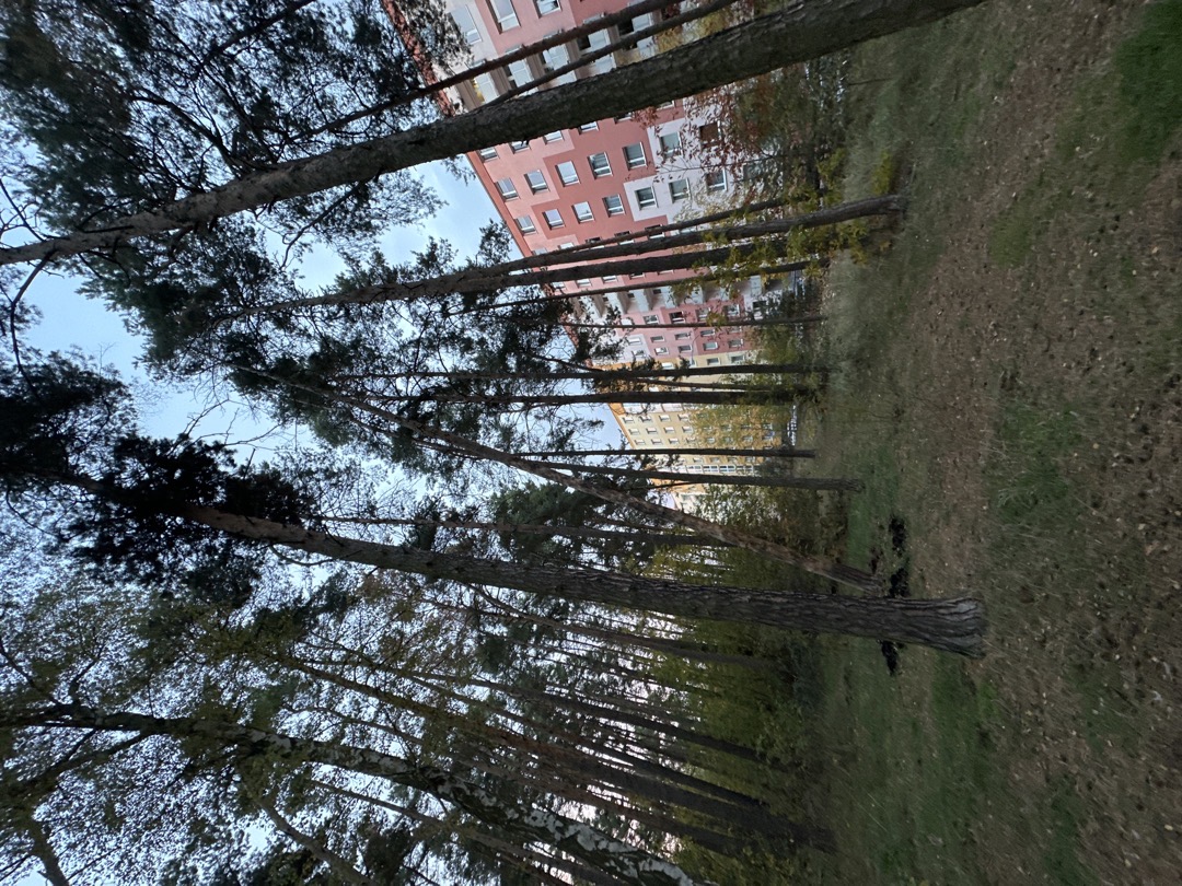 Nebezpecna strom