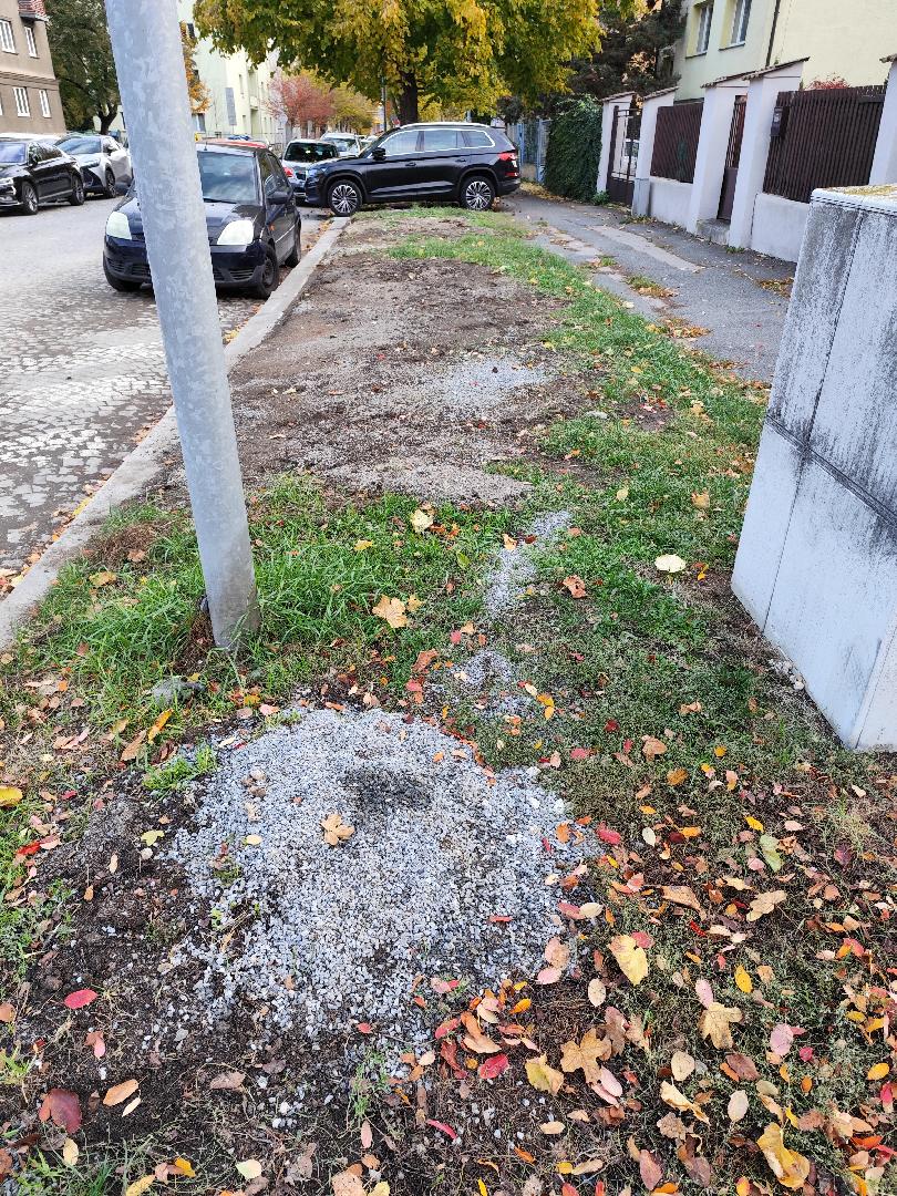 Poškození zeleně