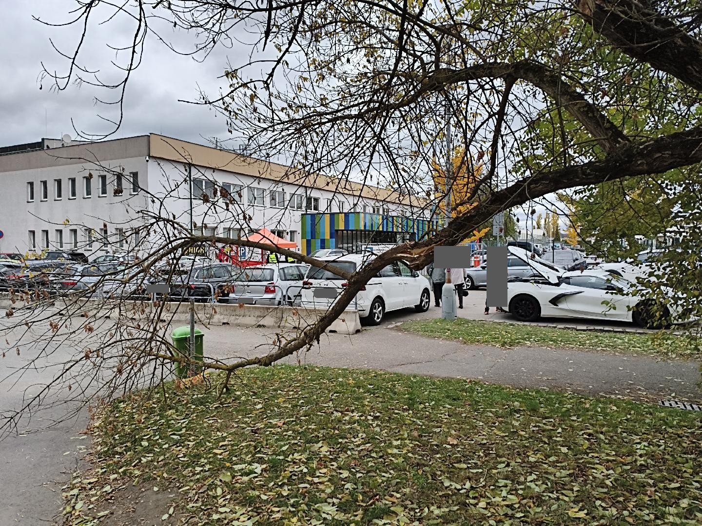 Ulomená větev