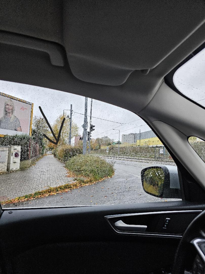 Křoví vážně blokující výhled