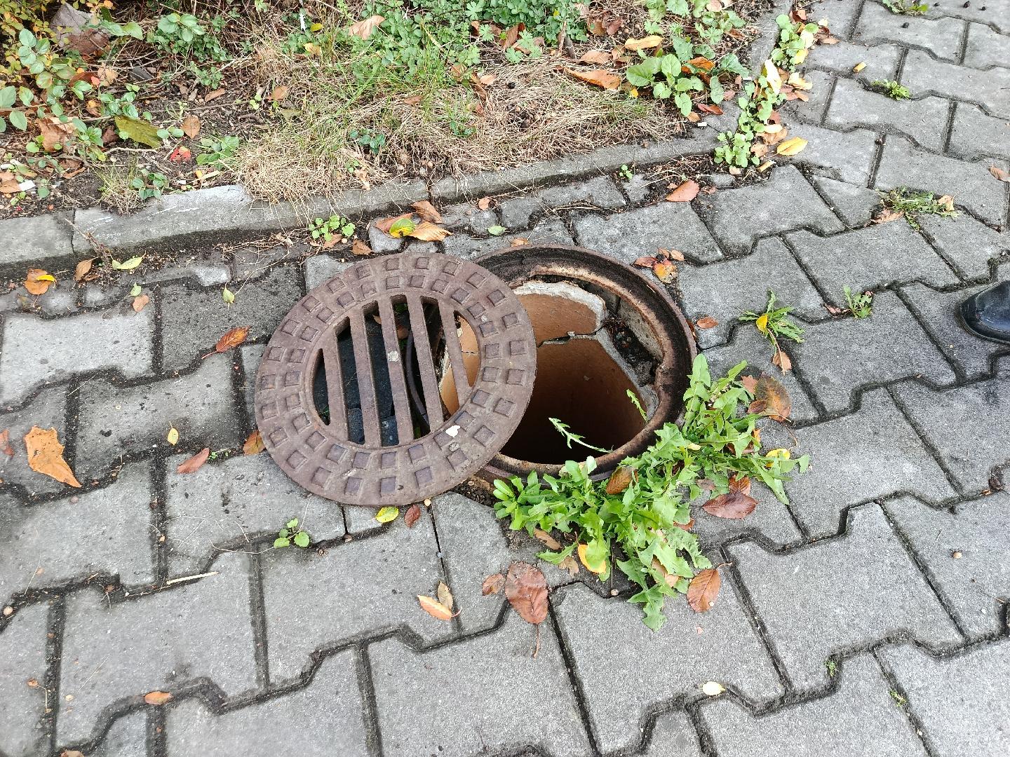 Fotografie nahlášení