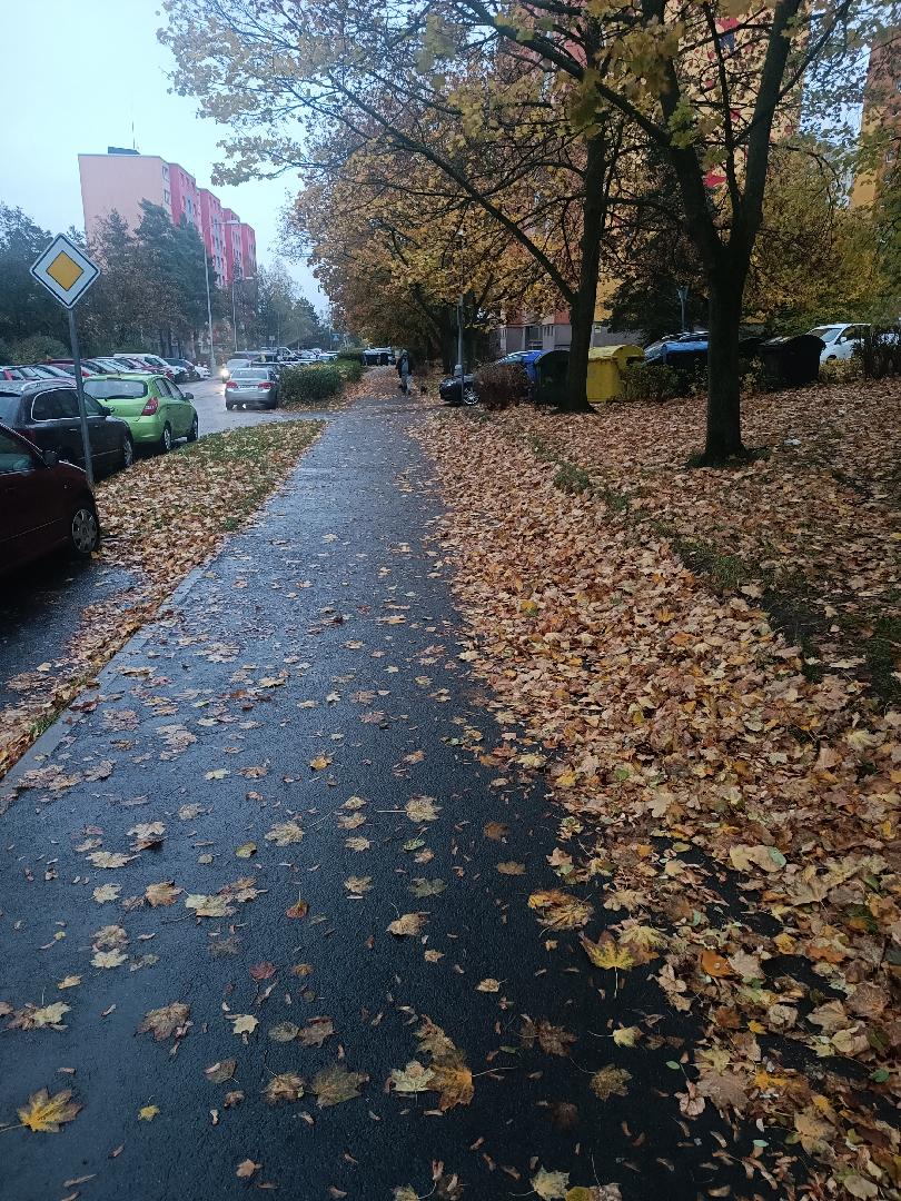 Neuklizené chodníky