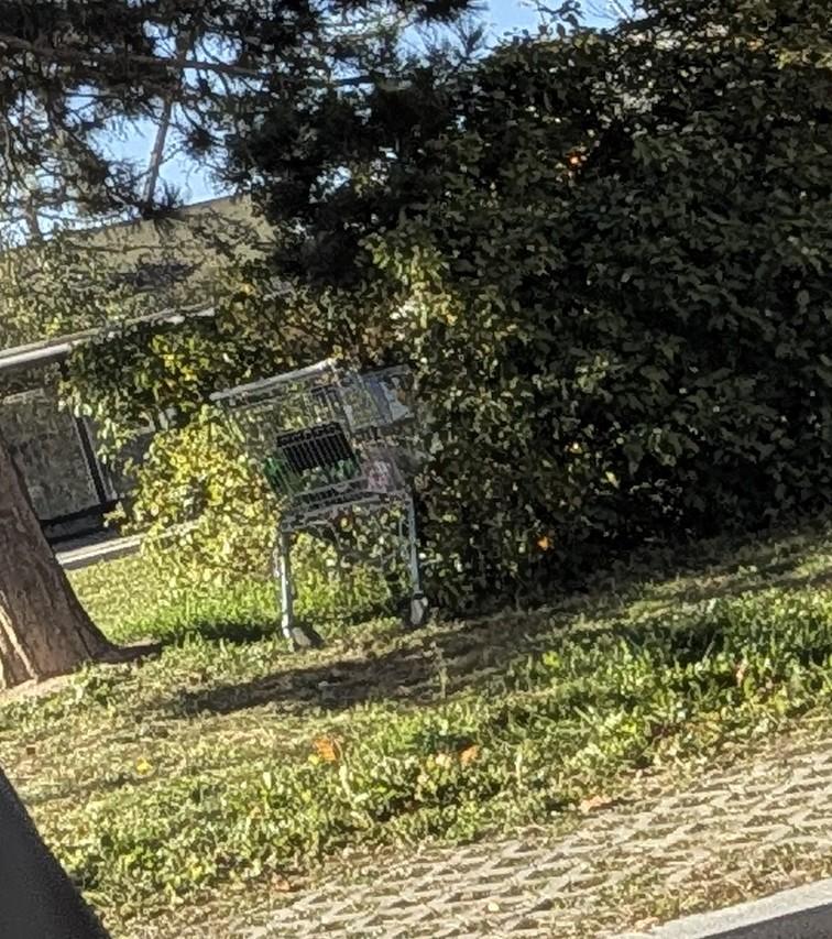 Fotografie nahlášení