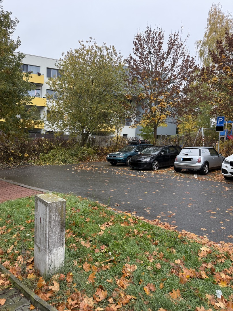 Nebezpečný strom