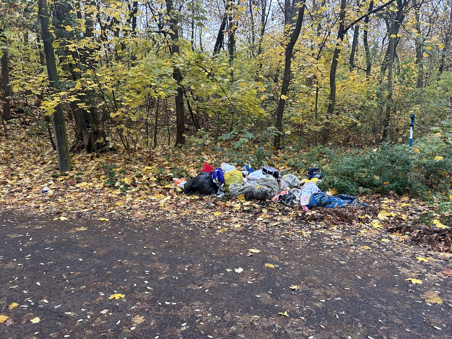 Fotografie nahlášení